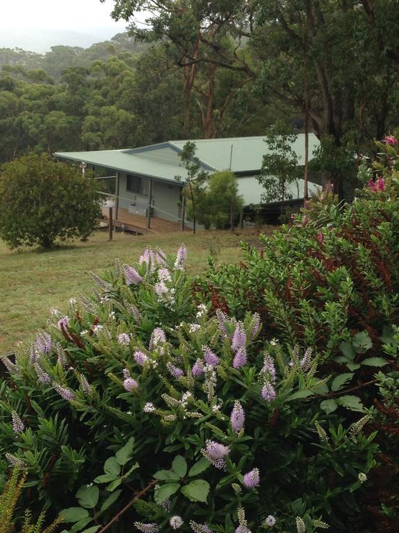Southern Anchorage Retreat Wattle Hill Buitenkant foto